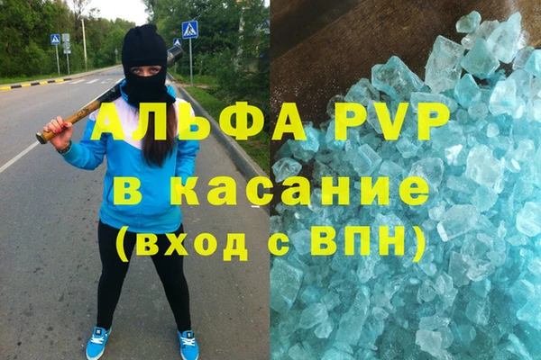 мяу мяу мука Абаза