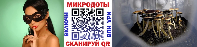 Псилоцибиновые грибы мухоморы  Шимановск 